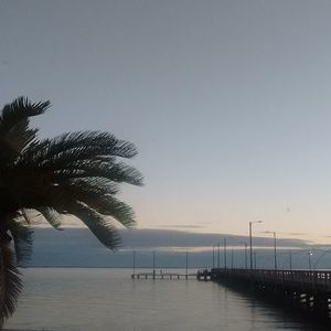 Meet your Posher, Edward